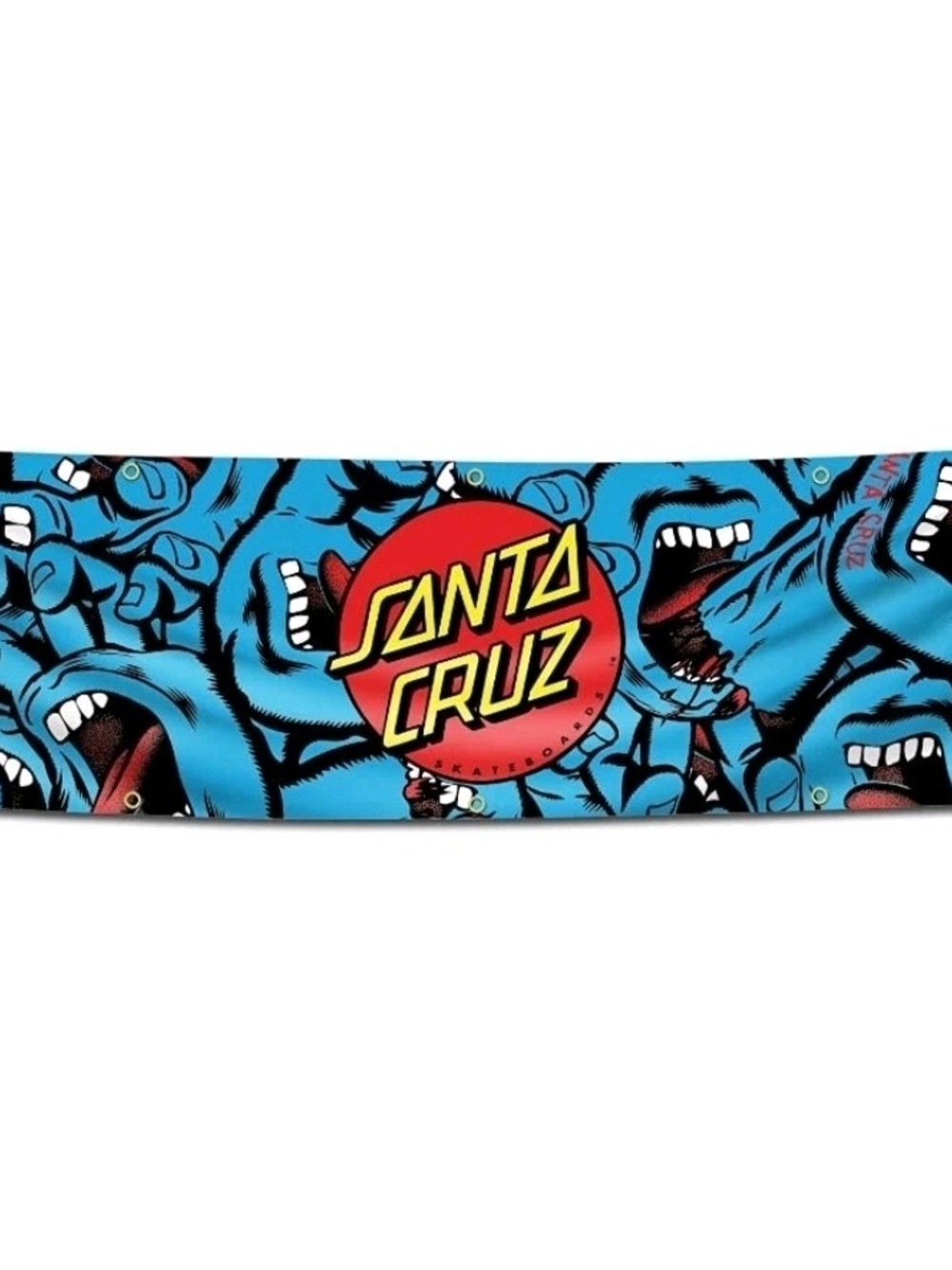 Santa Cruz Skateboards Banner /flag